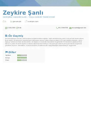 Hasta ve Yaşlı Bakım Elemanı Cv Örnekleri cv indir